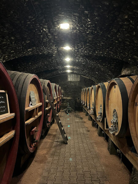 Château Thivin - Octobre 2025 Château Thivin - Octobre 2025
