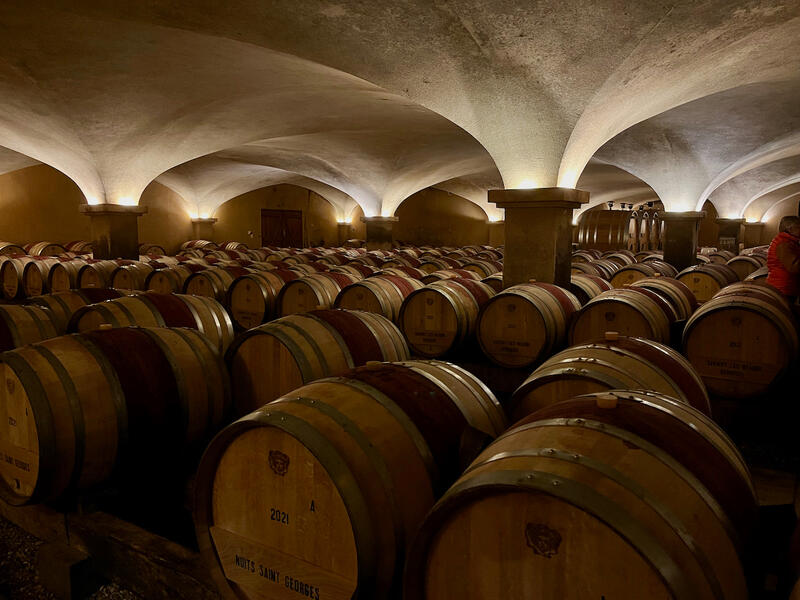 Maison Louis Jadot - Avril 2023