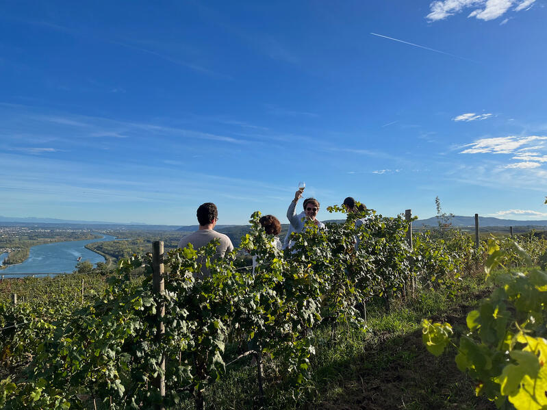 Domaine du Monteillet - Octobre 2022