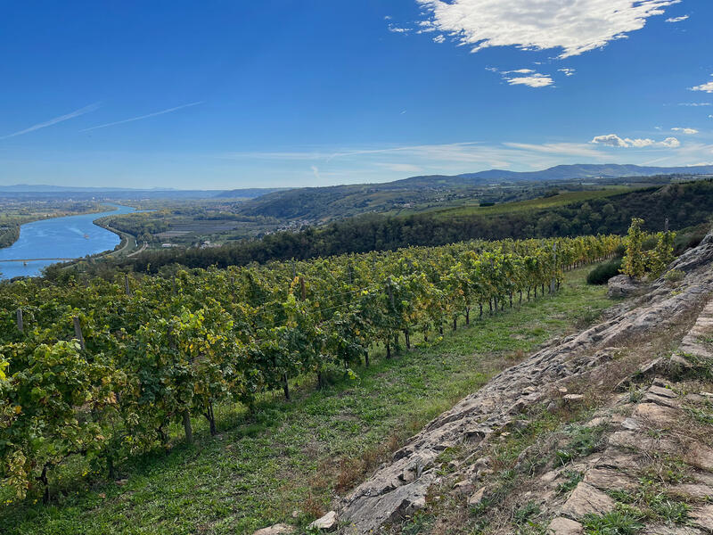 Domaine du Monteillet - Octobre 2022 Domaine du Monteillet - Octobre 2022