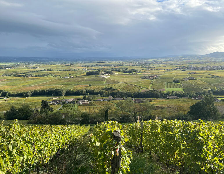 Château Thivin - Octobre 2025