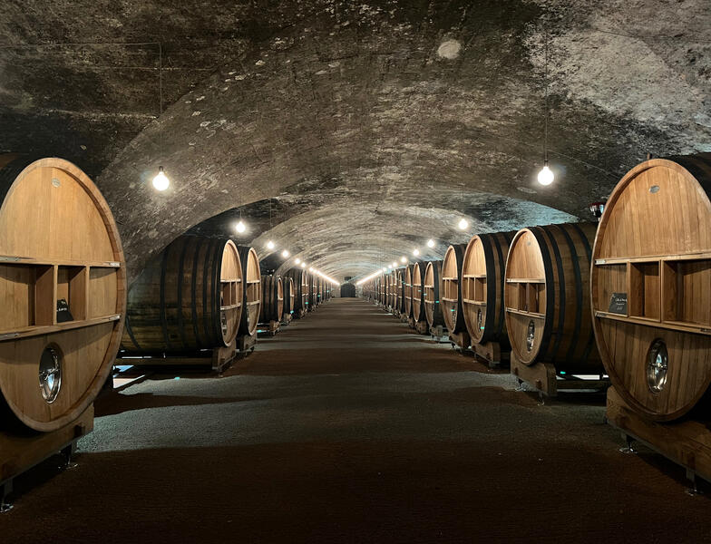 Château de la Chaize - Septembre 2024
